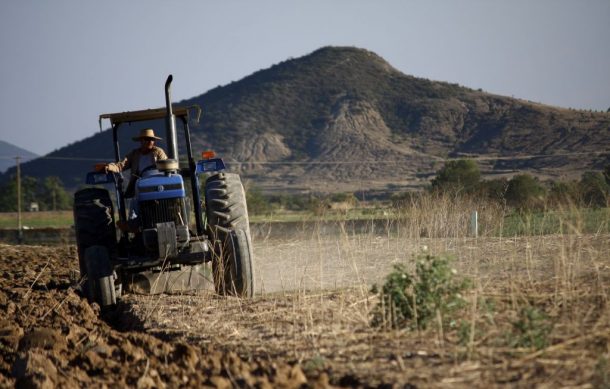 Operativo contra tomas de agua deja pérdidas en cultivos