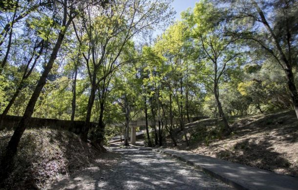 Preparan programa educativo en bosques urbanos de la ZMG