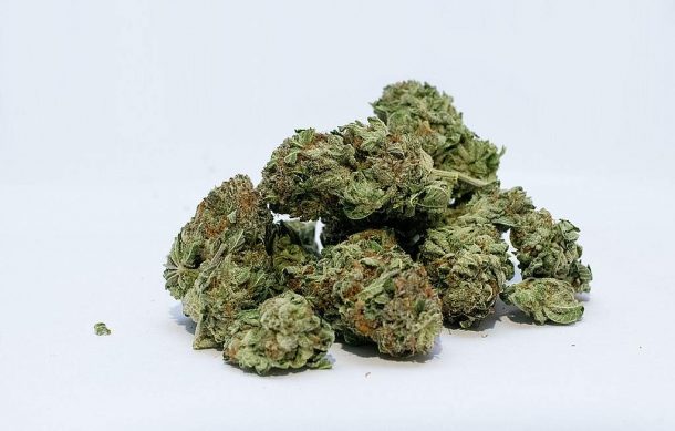 Piden mesa de trabajo sobre cannabis entre Senado y Cámara de Diputados