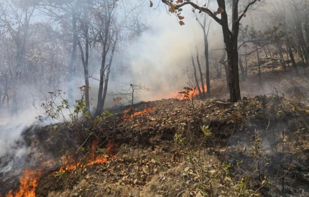 Temporada de estiaje deja 3 mil 093 incendios forestales en el país