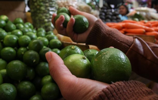 Precio de limón aumentó por intervención del crimen en Michoacán: comerciantes