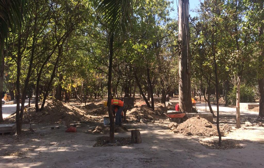 Rehabilitación del Parque de las Estrellas contempla arbolado Notisistema Rehabilitación del Parque de las Estrellas contempla arbolado Notisistema
