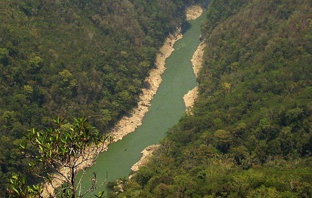 México tendrá la segunda reserva natural protegida más grande del mundo