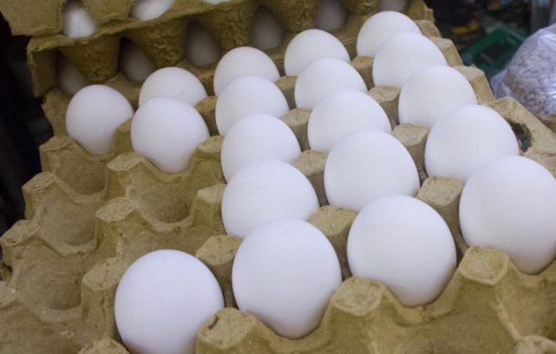 Brote de Gripe Aviar en San Miguel El Alto no afecta mercado de huevo
