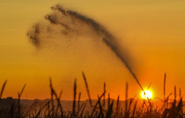 SMN pronostica al menos cuatro ondas de calor en México