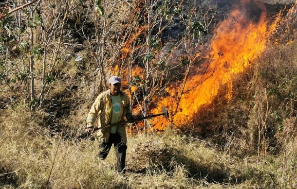 Presumen que fueron intencionales incendios registrados en Tlajomulco