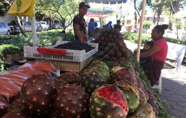 Alistan la Feria de la Pitaya en Guadalajara