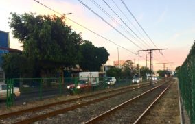 Sujeto camina por las vías del Tren Ligero y provoca que servicio se suspenda unos minutos