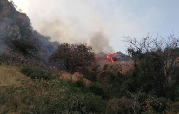 Incendio en la zona forestal de El Diente dañó más de 51 hectáreas