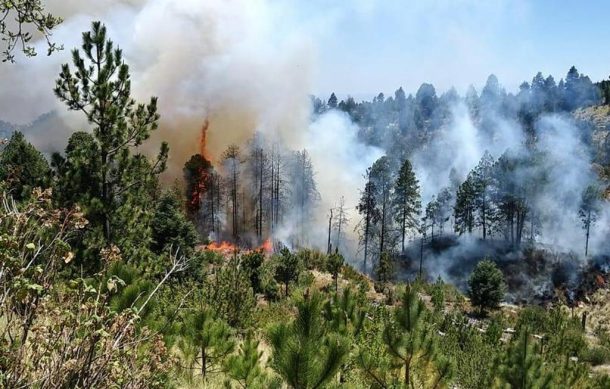 Incendios también causan daños en el Nevado de Colima