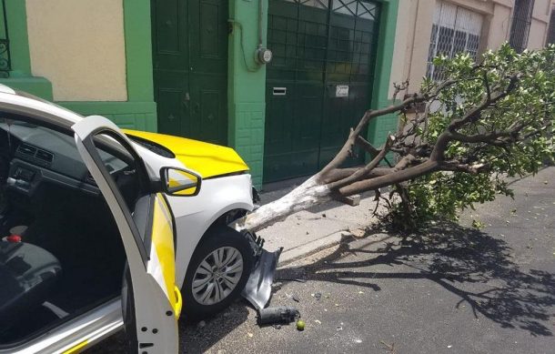 Taxi se estrella contra  un árbol en Centro de Guadalajara; mujer resultó con lesiones
