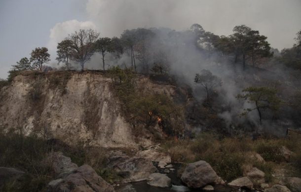 Liquidan voraz incendio en Área Natural Protegida del Bosque de La Primavera