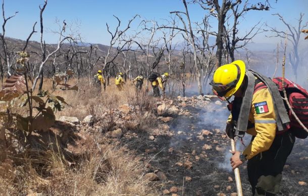 Autoridades trabajan para contener tres incendios forestales simultáneos