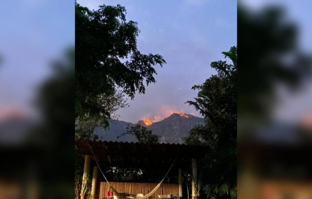 Controlan incendio forestal en Tepoztlán, Morelos