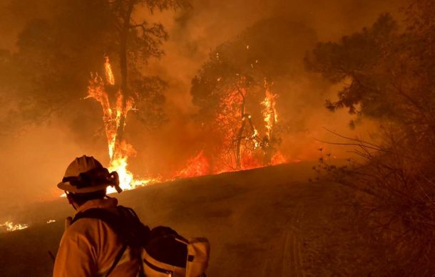 Se registra un incendio más en el bosque de La Primavera