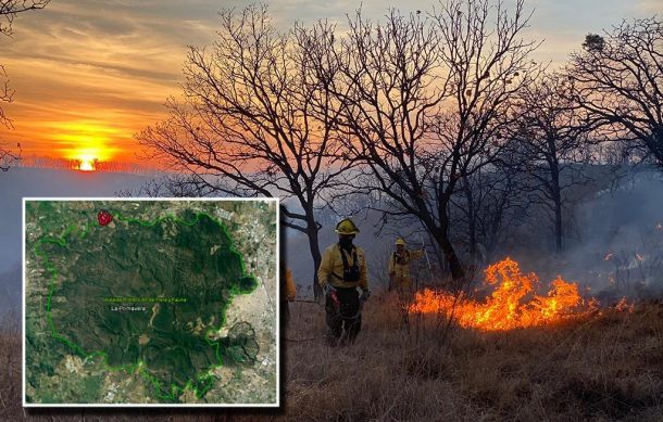 Controlan incendios forestales en el bosque de La Primavera