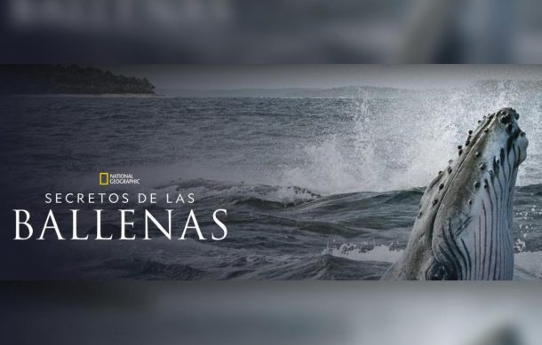 Breves del Espectáculo en Notisistema.com