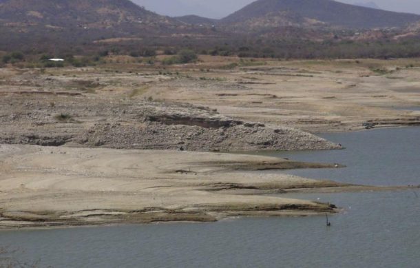 Cuestiona experta la utilidad de la declaratoria de emergencia por sequía en Jalisco