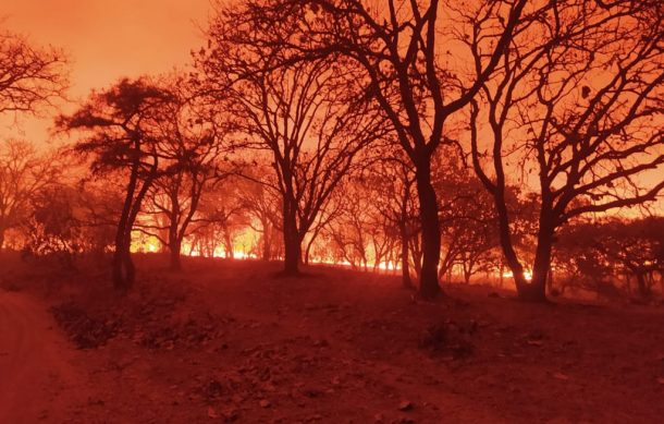 Reportan brigadistas heridos durante el combate al fuego en La Primavera