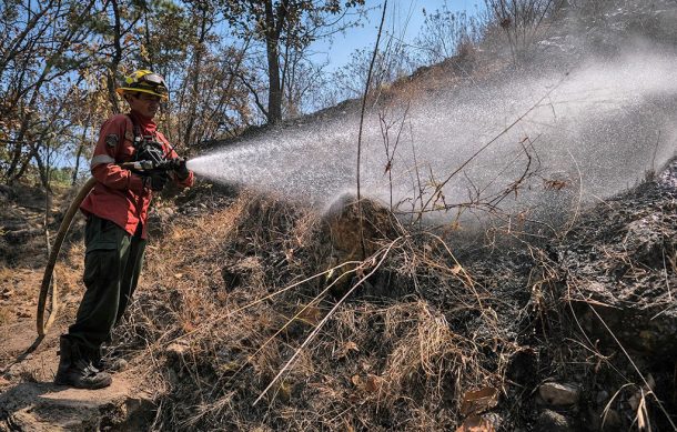 Liquidan incendio forestal en La Primavera que se desató en la zona de Tala