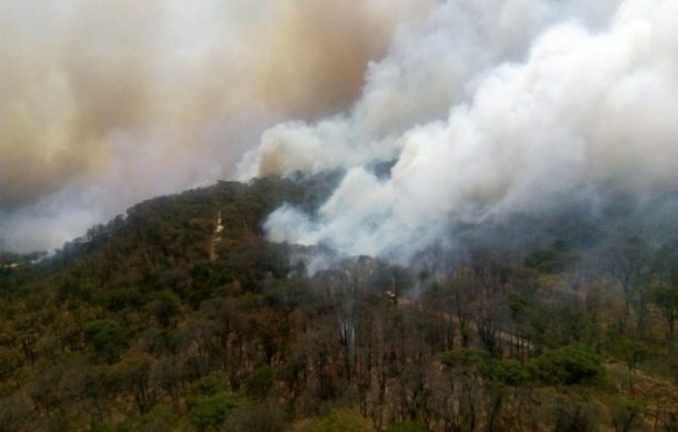 Reportan incendio dentro del Bosque de La Primavera