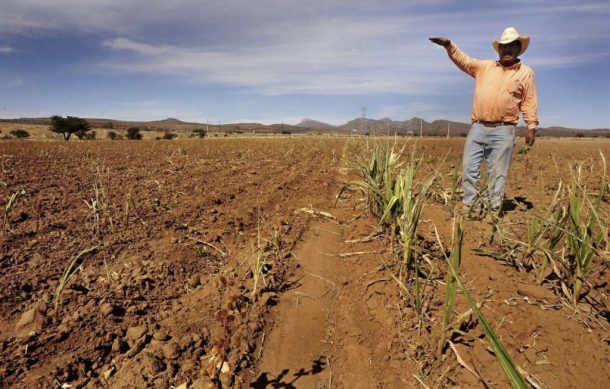 Pese a lluvias, la sequía no aminora en Jalisco
