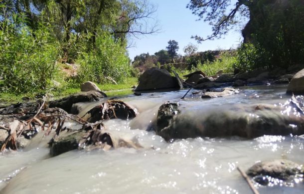 Descargas irregulares destruyen arroyo en La Primavera