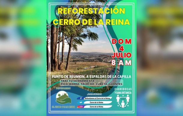 Colectivo anuncia reforestación del cerro de la Reina de Tonalá