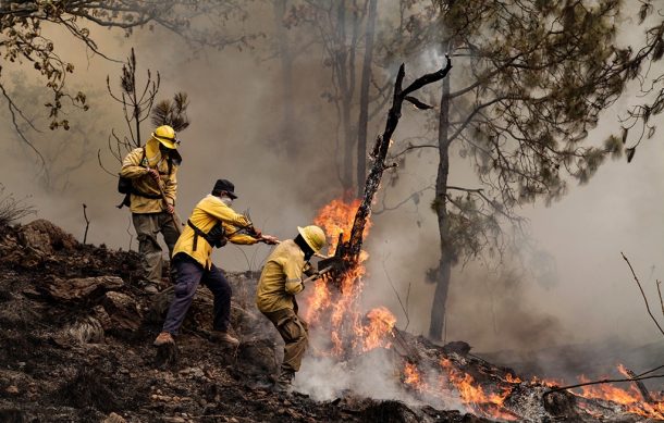 Suman ocho detenidos el pasado temporal por causar incendios forestales