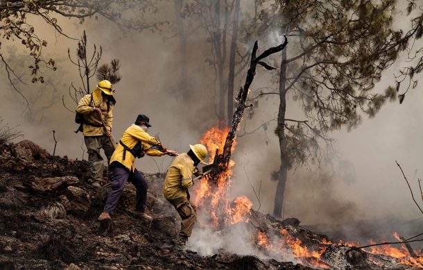 Jalisco registra cerca de 1,300 incendios en el actual estiaje