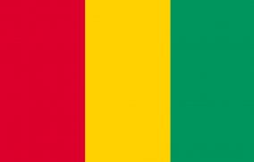 Guinea decide retirarse de los Juegos Olímpicos de Tokio