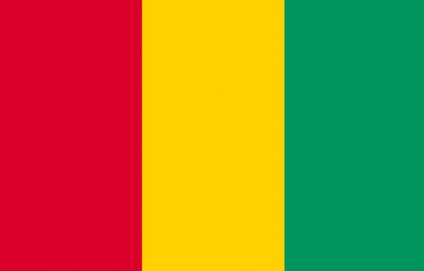 Guinea decide retirarse de los Juegos Olímpicos de Tokio
