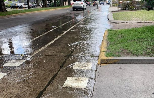 Indigna fuga de agua limpia por avenida Guadalupe