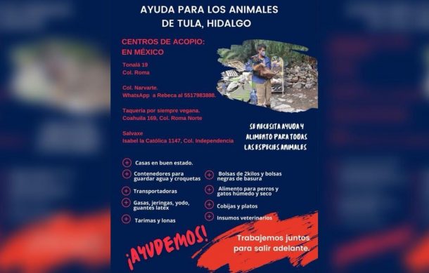 Piden apoyo para animales en desgracia del río Tula