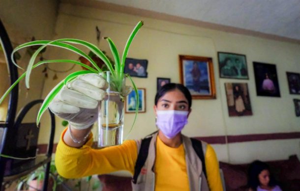 Confirman segunda muerte por dengue en Jalisco