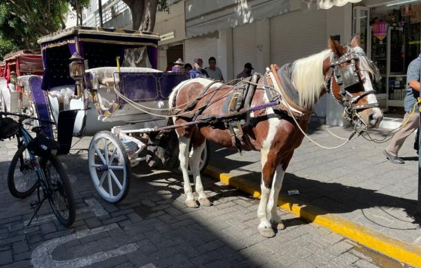 Calandria atropella a policía tapatío