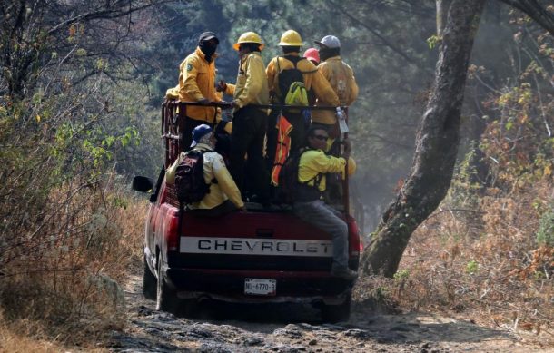 Brigadistas combaten incendios forestales en cuatro entidades