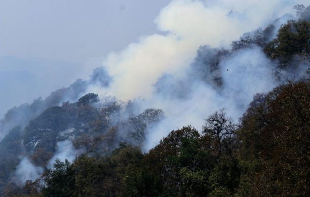 Fueron 115 hectáreas afectadas por el incendio en el Tepozteco