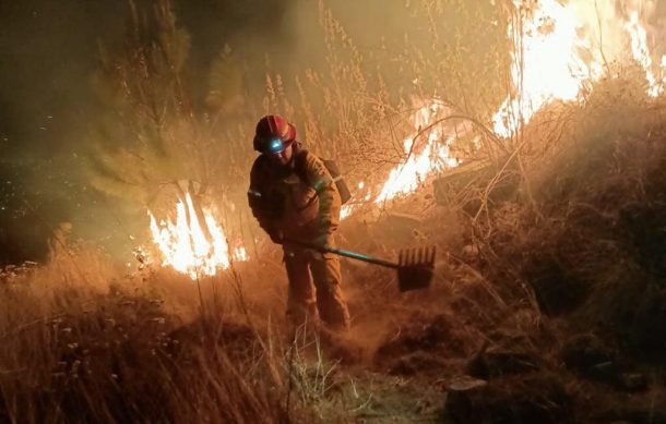 Se reactiva incendio forestal en el Cerro del Colli