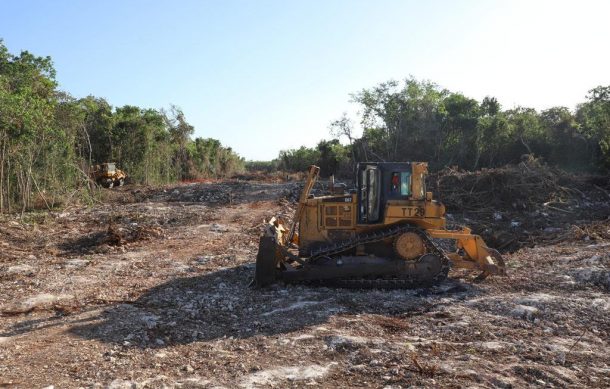 Semarnat autoriza manifestación de impacto ambiental de Tramo 5 del Tren Maya
