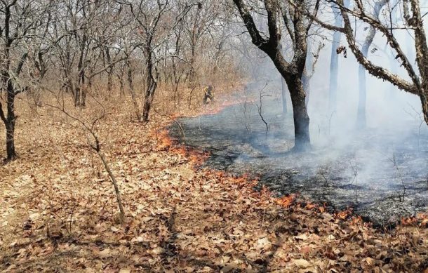 Se han registrado menos incendios este año