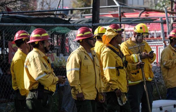 Sofocan incendio forestal en el cerro del Colli