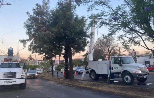 Fuerte viento afectó principalmente a la colonia Las Águilas