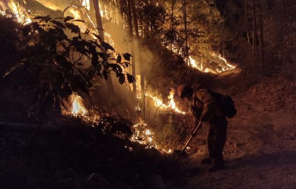 Registran fuertes incendios forestales en el norte de Zapopan y en Tecalitlán