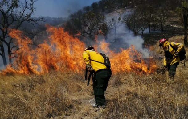 Incendio en Cerro El Taray continúa activo y está bajo vigilancia