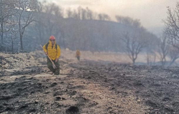 Cumple 24 horas incendio forestal en la zona de El Taray en carretera a Colotlán