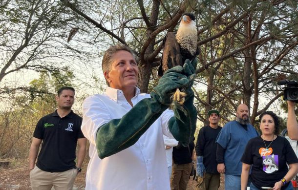 Liberan fauna silvestre en Zapopan