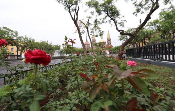 Pretenden que manifestación en defensa del INE llegue la Plaza Liberación