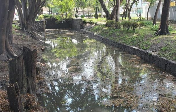 Vecinos temen inundaciones en la colonia Jardines del Bosque