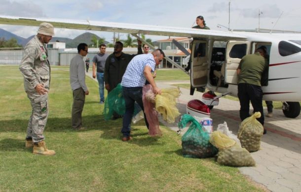 Bombardean con semillas La Primavera y el Cerro Viejo